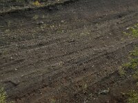 D, Rheinland-Pfalz, Gerolstein, Rockskyll 23, Saxifraga-Willem van Kruijsbergen