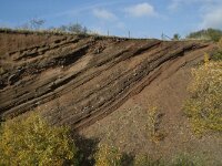 D, Rheinland-Pfalz, Gerolstein, Rockskyll 26, Saxifraga-Willem van Kruijsbergen