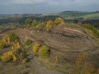 D, Rheinland-Pfalz, Gerolstein, Rockskyll 34, Saxifraga-Willem van Kruijsbergen