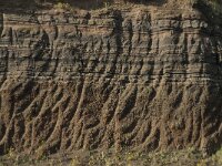 D, Rheinland-Pfalz, Gerolstein, Rockskyll 35, Saxifraga-Willem van Kruijsbergen