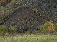 D, Rheinland-Pfalz, Gerolstein, Rockskyll 8, Saxifraga-Willem van Kruijsbergen