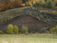 D, Rheinland-Pfalz, Gerolstein, Rockskyll 9, Saxifraga-Willem van Kruijsbergen