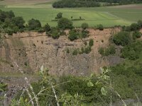 D, Rheinland-Pfalz, Gerolstein, Rother Kopf 5, Saxifraga-Willem van Kruijsbergen