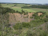 D, Rheinland-Pfalz, Gerolstein, Rother Kopf 6, Saxifraga-Willem van Kruijsbergen