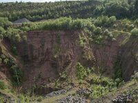 D, Rheinland-Pfalz, Gerolstein, Rother Kopf 8, Saxifraga-Willem van Kruijsbergen