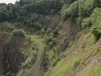 D, Rheinland-Pfalz, Gerolstein, Rother Kopf 9, Saxifraga-Willem van Kruijsbergen