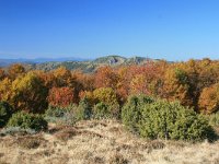 GR, Anatoliki Makedonia kai Thraki, Xanthi, Livaditis 38, Saxifraga-Dirk Hilbers