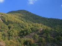 GR, Anatoliki Makedonia kai Thraki, Xanthi, Livaditis 5, Saxifraga-Dirk Hilbers