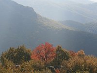 GR, Anatoliki Makedonia kai Thraki, Xanthi, Livaditis 8, Saxifraga-Dirk Hilbers