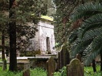 GR, Corfu, British Cemetry Kerkyra 2, Saxifraga-Hans Dekker