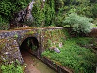 GR, Corfu, Pagi 2, Saxifraga-Hans Dekker