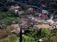 GR, Corfu, Strinilas 8, Saxifraga-Hans Dekker