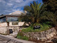 GR, Corfu, Strinilas 9, Saxifraga-Hans Dekker