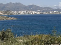 GR, Crete, Lasithi, Agios Nikolaos 6, Saxifraga-Jan van der Straaten