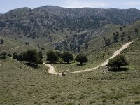 GR, Crete, Lasithi, Kiminaki 10, Saxifraga-Willem van Kruijsbergen