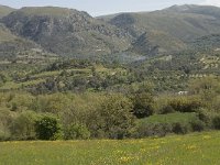 GR, Crete, Rethimnon, Koxare 2, Saxifraga-Willem van Kruijsbergen