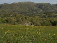 GR, Crete, Rethimnon, Koxare 5, Saxifraga-Willem van Kruijsbergen