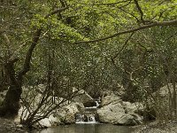 GR, Crete, Rethimnon, Patsos, Antonio Gorge 11, Saxifraga-Willem van Kruijsbergen