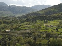 GR, Crete, Rethimnon, Thronos 2, Saxifraga-Willem van Kruijsbergen