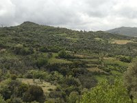 GR, Crete, Rethimnon, Voleones 2, Saxifraga-Willem van Kruijsbergen