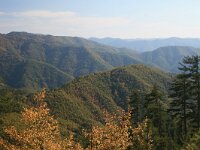 GR, Drama, Paranestiou, Frakto Virgin forest 8, Saxifraga-Dirk Hilbers