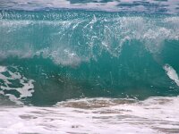 GR, Ionia Nisia, Kefalonia 20, Saxifraga-Foto Fitis-Sytske Dijksen