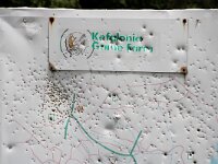 GR, Ionia Nisia, Kefalonia, Pessaria 2, Saxifraga-Foto Fitis-Sytske Dijksen