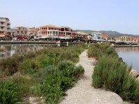 GR, Ionia Nisia, Lefkas 12, Saxifraga-Foto Fitis-Sytske Dijksen