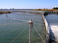 GR, Ionia Nisia, Lefkas 2, Saxifraga-Foto Fitis-Sytske Dijksen