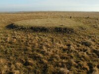 H, Bacs-Kiskun, Ulopszállás, Kiskunsag NP 3, Saxifraga-Ferenc Sipos