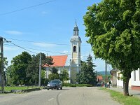 H, Borsod-Abauj-Zemplen, Saly, Saly to Latorpuszta 1, Saxifraga-Tom Heijnen