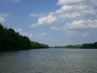 Tisza