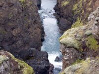 IS, Nordurland vestra, Hunabing vestra, Kolugljuffur 5, Saxifraga-Mira Hoogenboom