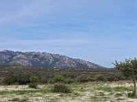 I, Nuoro, Dorgali 9, Saxifraga-Hans Dekker