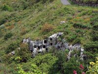 I, Siracusa, Ferla 2, Saxifraga-Hans Dekker