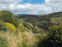 I, Siracusa, Ferla, Pantalica 3, Saxifraga-Hans Dekker