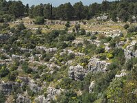 I, Siracusa, Ferla, Pantalica 6, Saxifraga-Hans Dekker