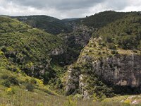 I, Siracusa, Ferla, Pantalica 7, Saxifraga-Hans Dekker