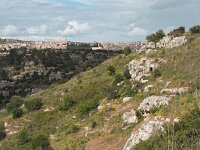 I, Siracusa, Ferla, Pantalica 9, Saxifraga-Hans Dekker