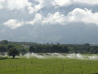 I, Trentino-Sued Tirol, Stelvio National Park, Prato allo Stelvio 1, Saxifraga-Jan van der Straaten