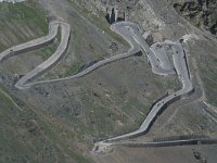 I, Trentino-Sued Tirol, Passo di Stelvio 2, Saxifraga-Hans Dekker