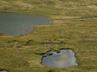 I, Valle d'Aosta, La Thuile, Col du Petit Saint Bernard 5, Saxifraga-Jan van der Straaten