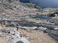 I, Valle d'Aosta, Rhemes-Notre Dame, Colle della Porta 5, Saxifraga-Jan van der Straaten