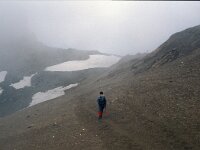 I, Valle d'Aosta, Rhemes-Notre Dame, Vallone di Leynir 2, Saxifraga-Jan van der Straaten