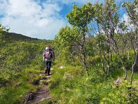 N, Nordland, Andoy, Andoya 11, Saxifraga-Hans Dekker