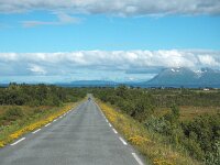 N, Nordland, Andoy, Andoya 17, Saxifraga-Hans Dekker