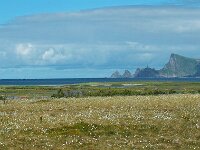 N, Nordland, Andoy, Andoya 20, Saxifraga-Hans Dekker