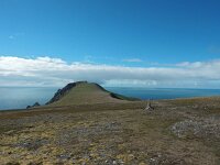 N, Nordland, Andoy, Andoya 31, Saxifraga-Hans Dekker