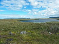 N, Nordland, Andoy, Andoya 37, Saxifraga-Hans Dekker