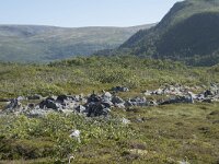 N, Nordland, Andoy, Bleikmorenen 18, Saxifraga-Willem van Kruijsbergen